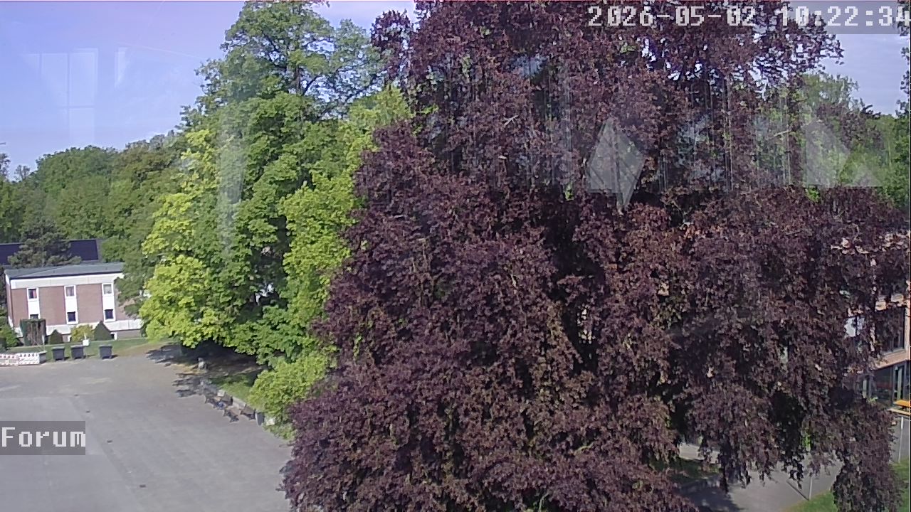 Webcam Forum 10:22