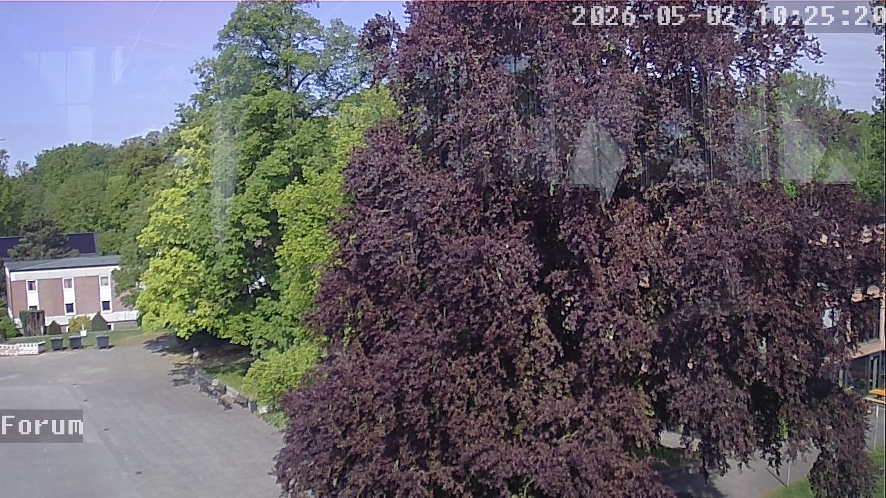 Webcam Forum 10:25