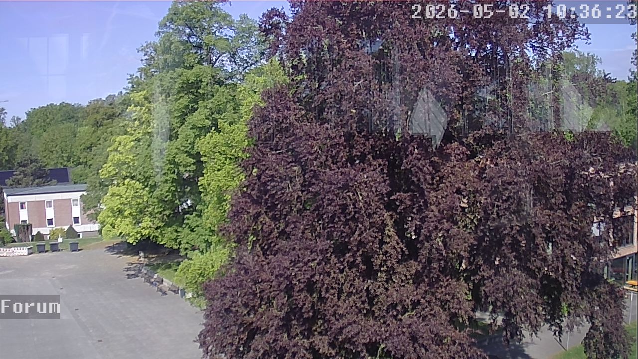 Webcam Forum 10:36
