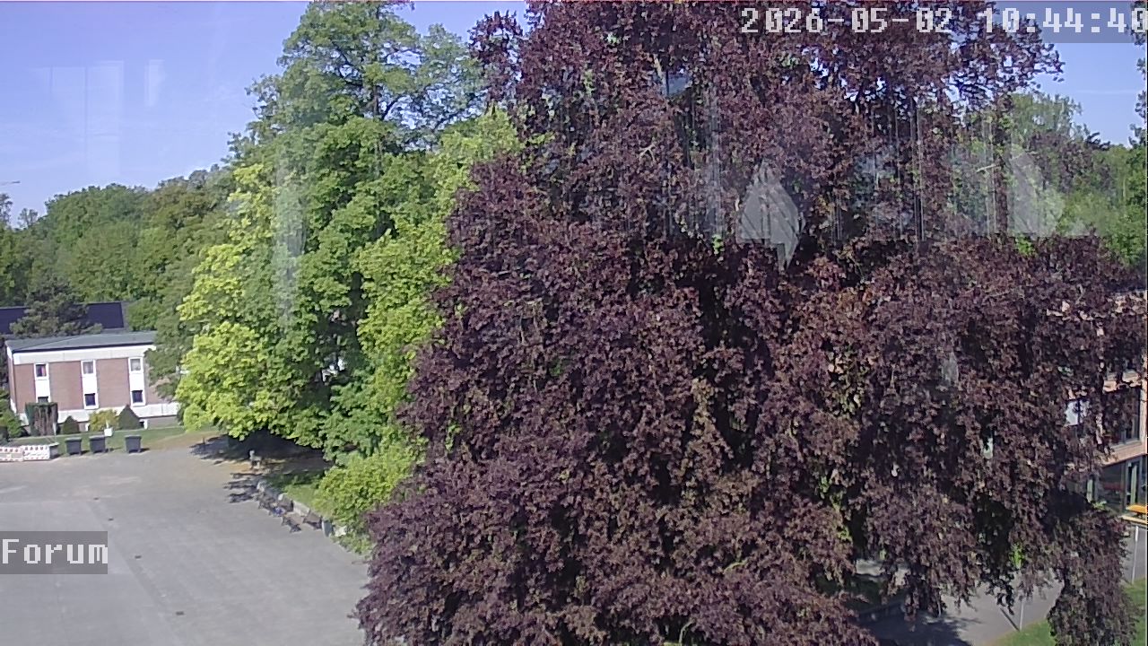 Webcam Forum 10:44