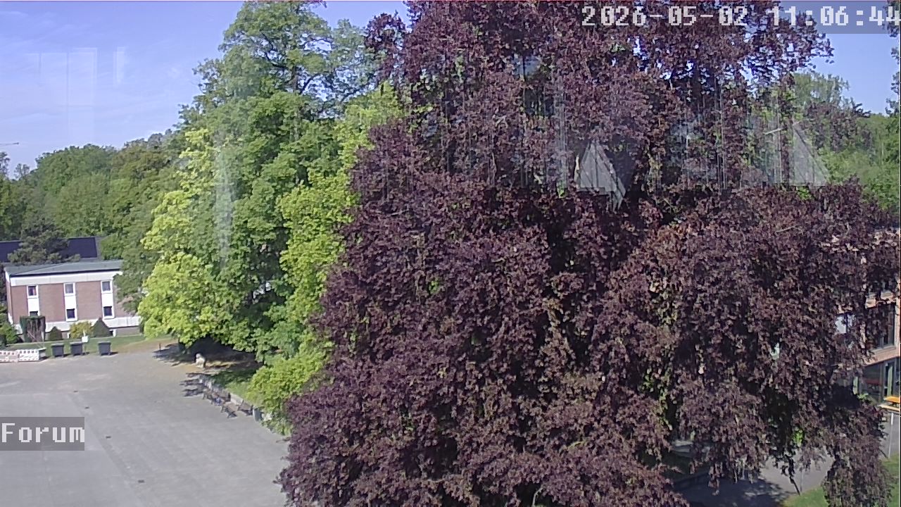 Webcam Forum 11:06