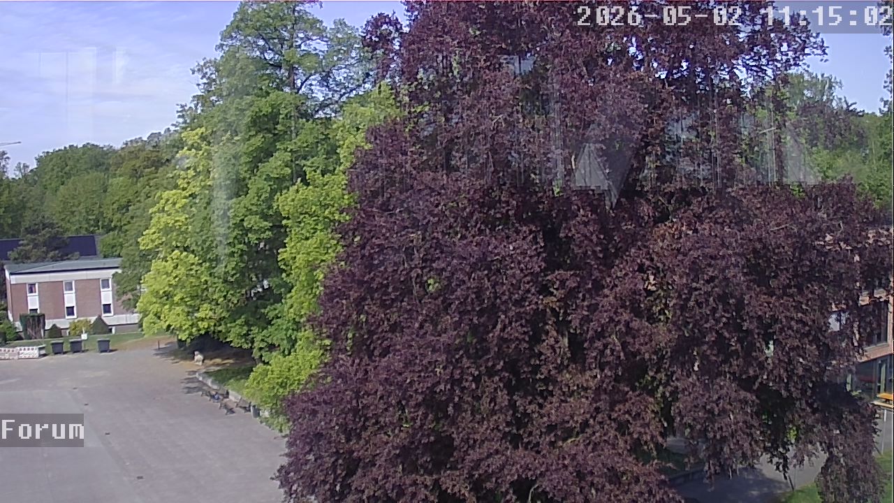 Webcam Forum 11:15