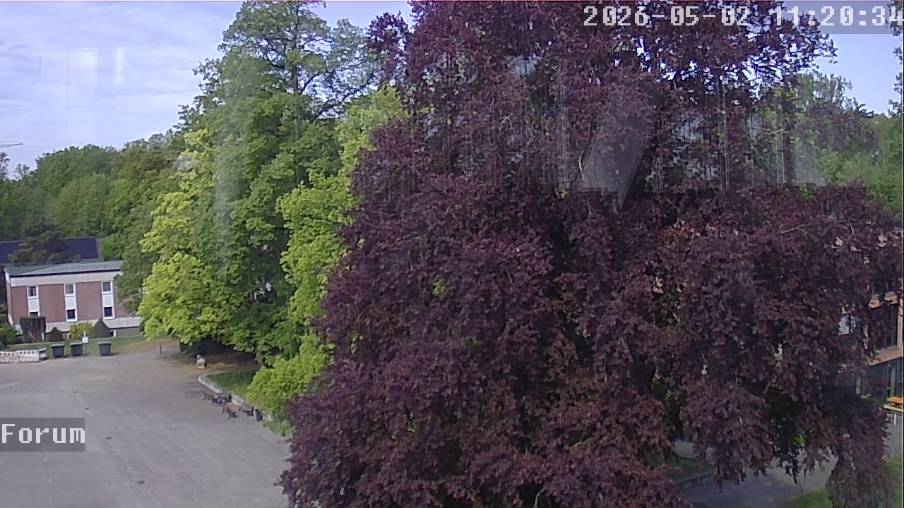 Webcam Forum 11:20