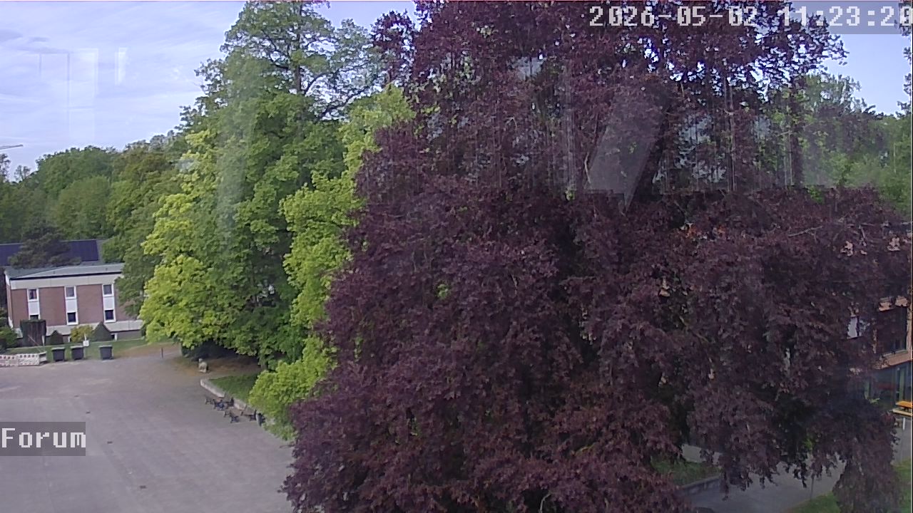 Webcam Forum 11:23