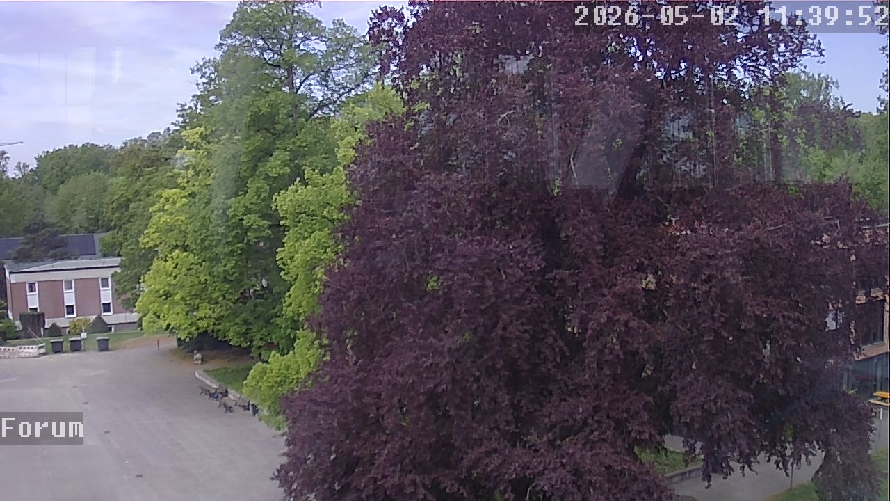 Webcam Forum 11:39