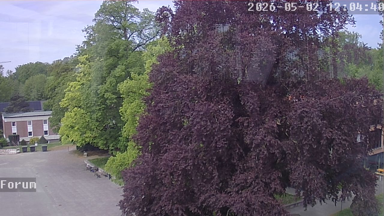 Webcam Forum 12:04