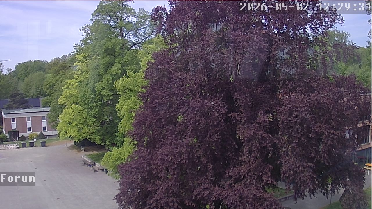 Webcam Forum 12:29