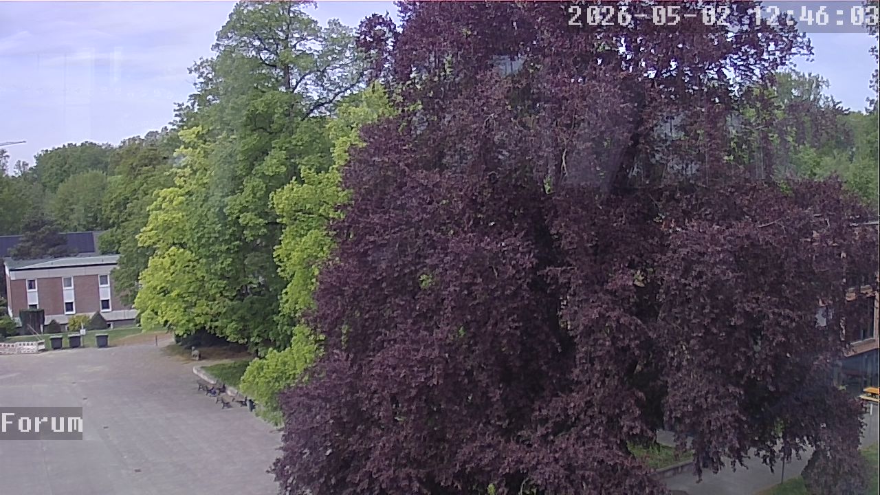 Webcam Forum 12:46