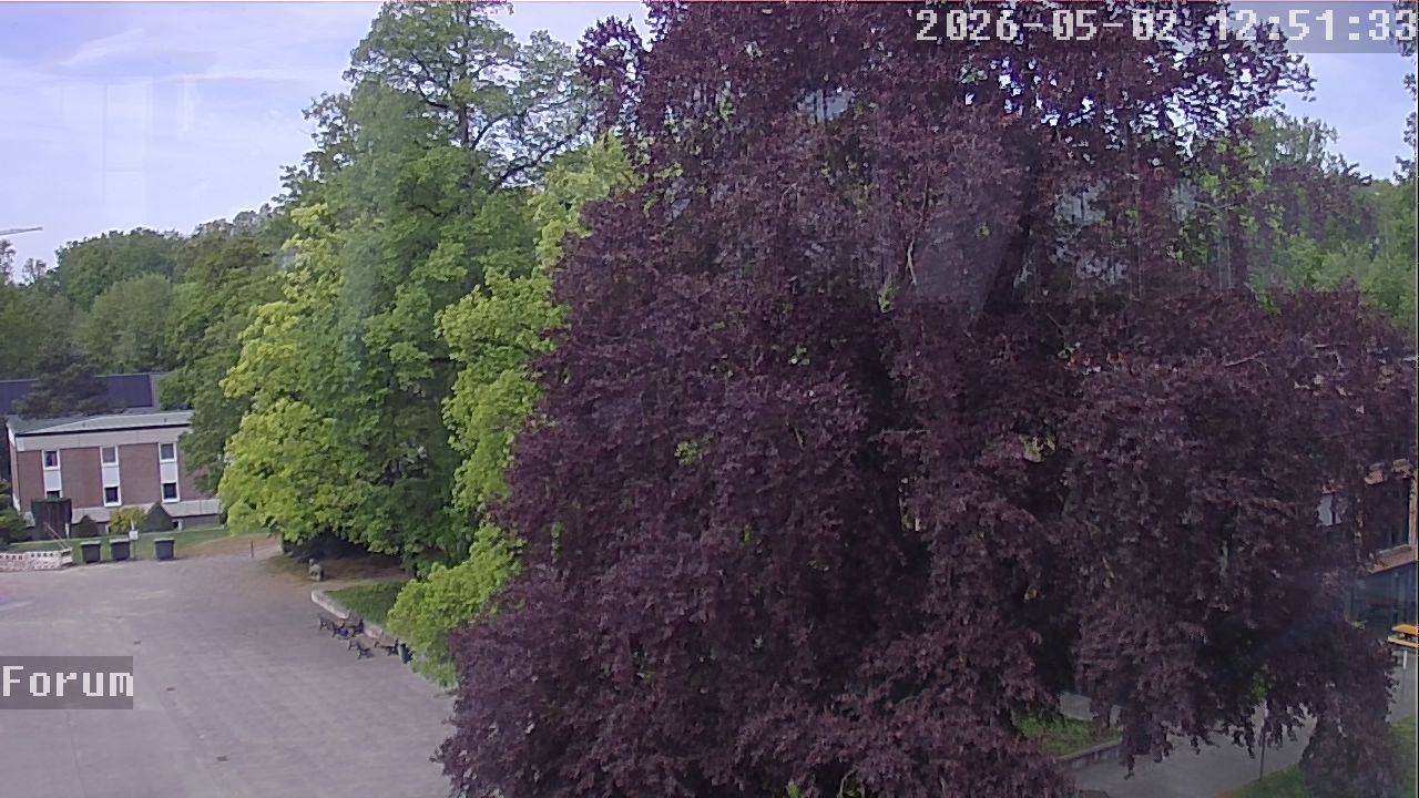 Webcam Forum 12:51