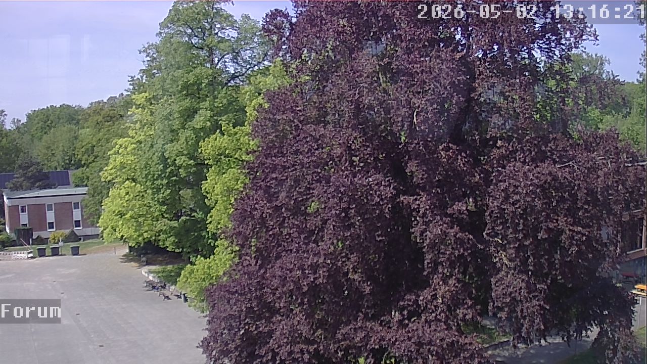 Webcam Forum 13:16