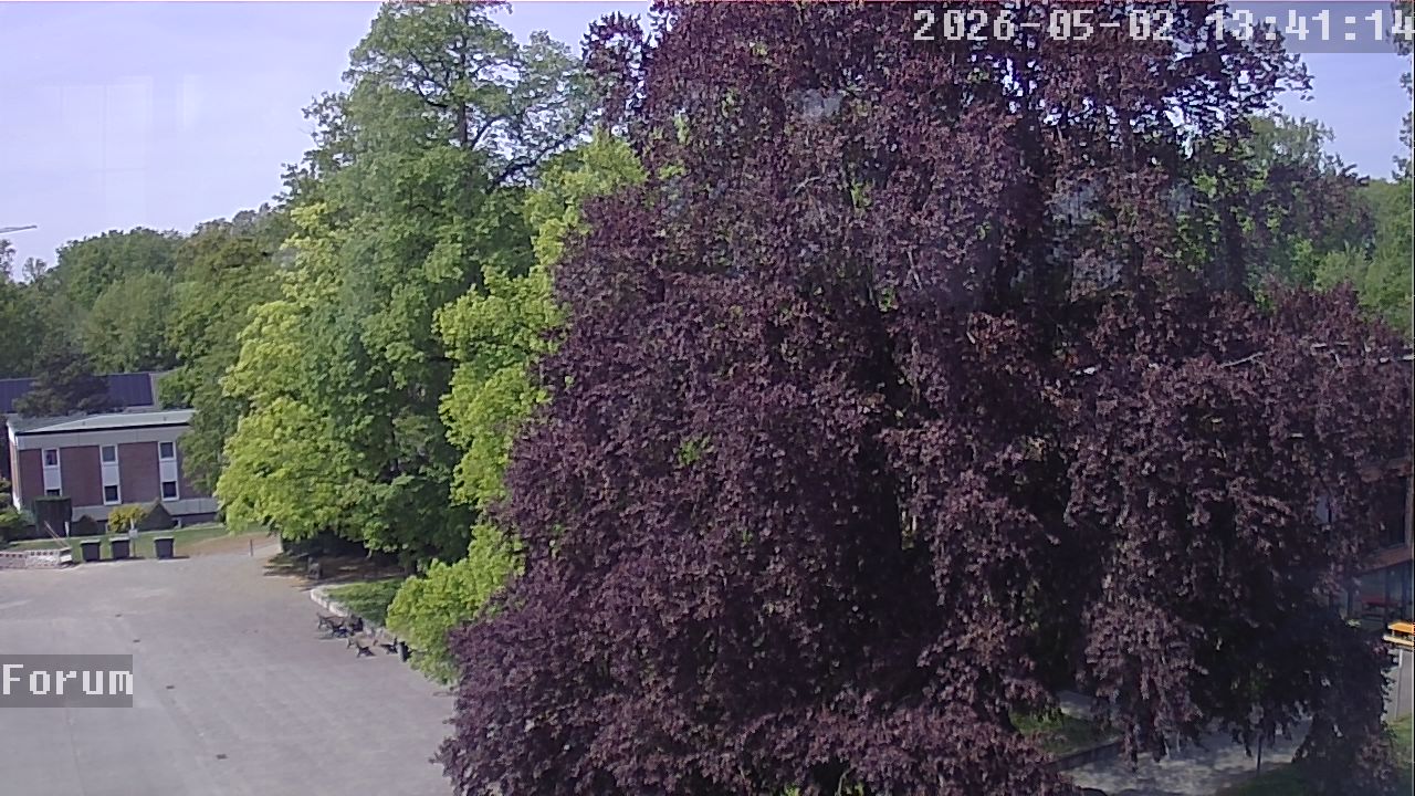 Webcam Forum 13:41