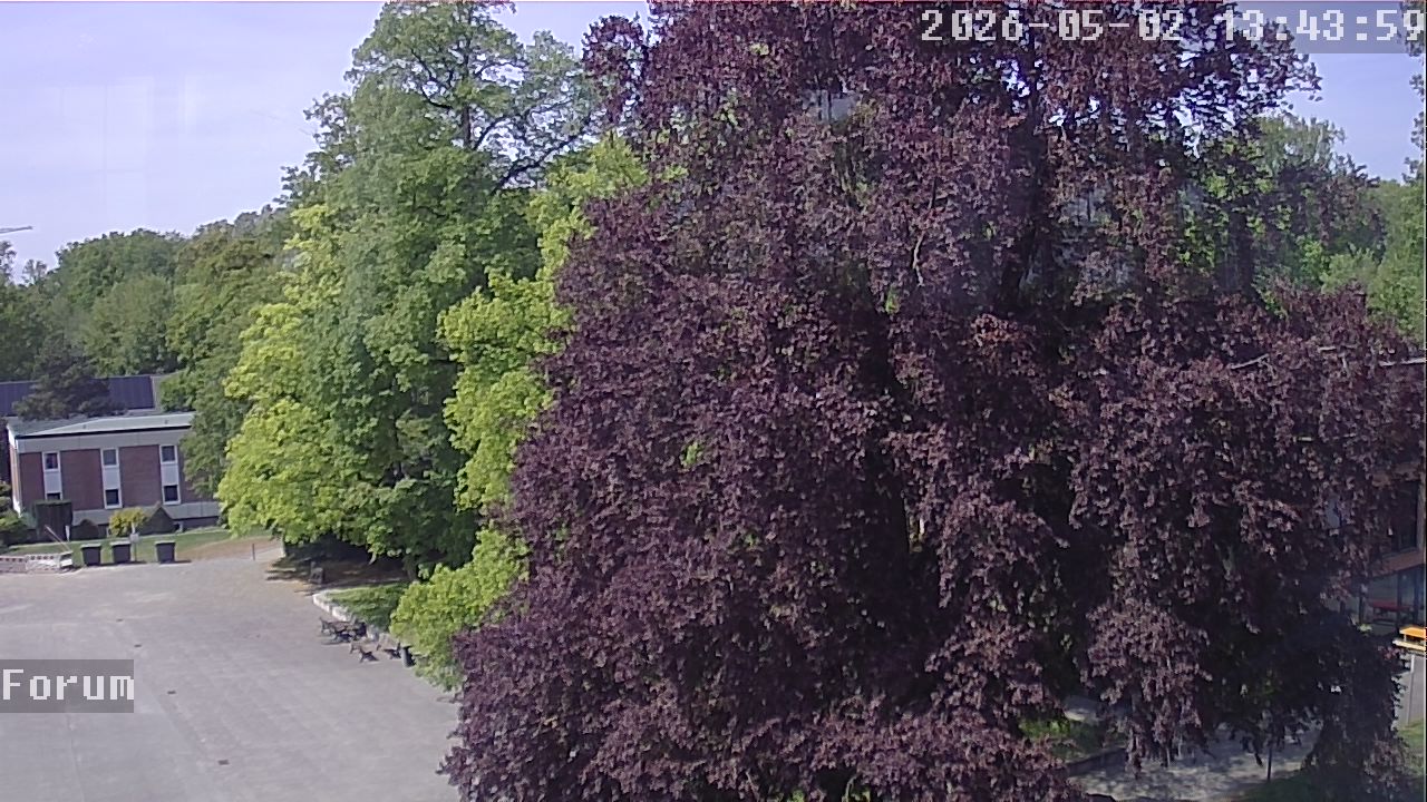Webcam Forum 13:44