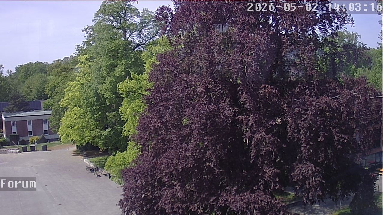 Webcam Forum 14:03