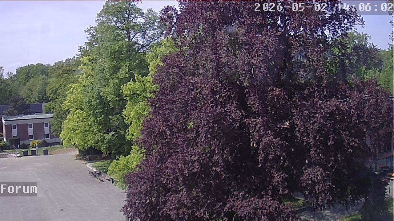 Webcam Forum 14:06