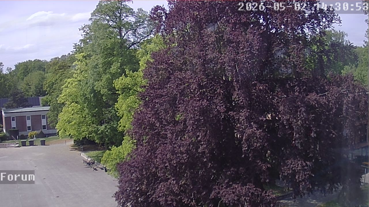Webcam Forum 14:30