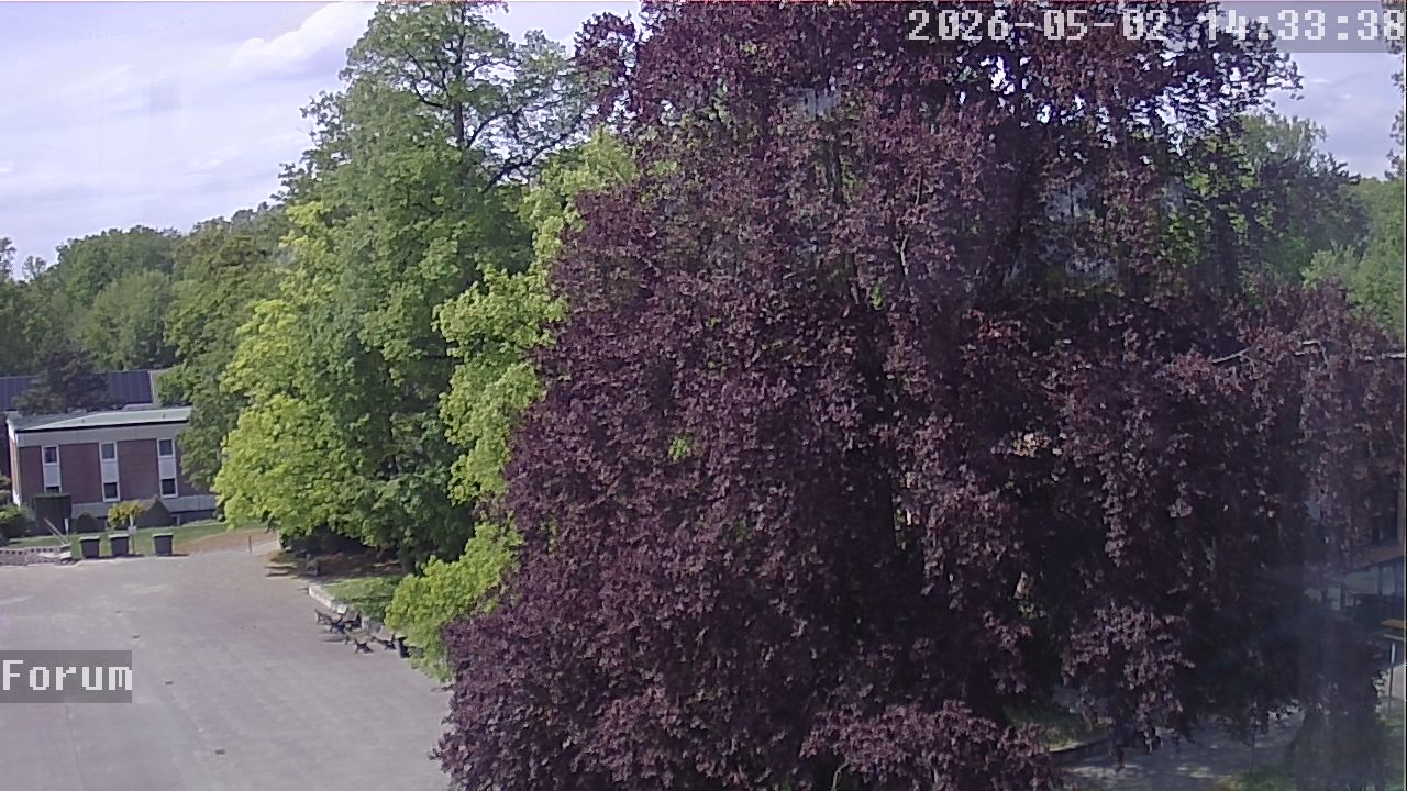 Webcam Forum 14:33
