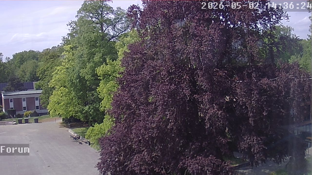 Webcam Forum 14:36