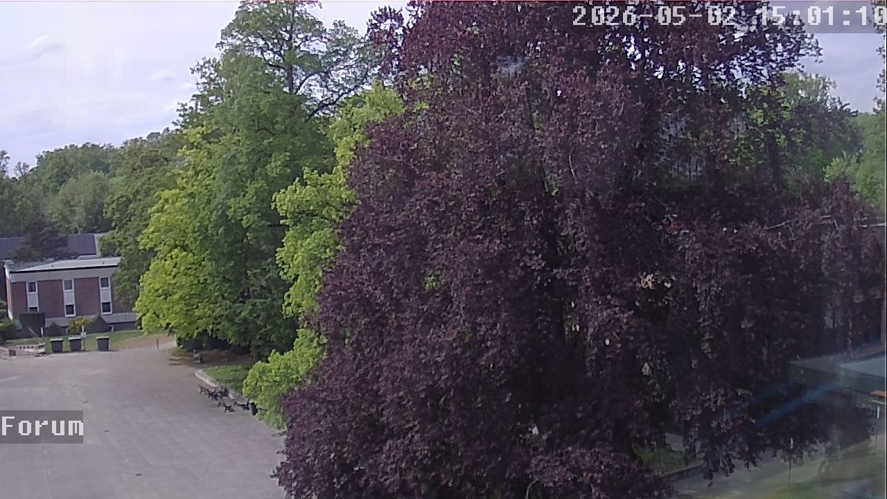 Webcam Forum 15:01