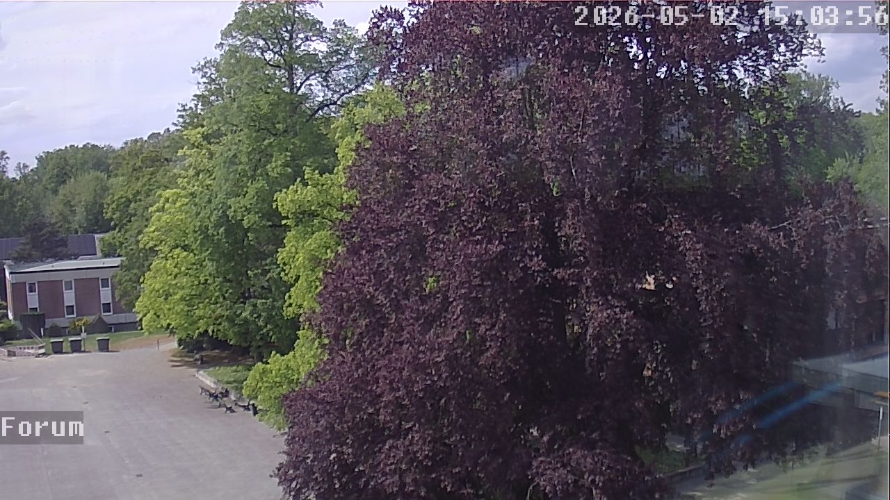Webcam Forum 15:03