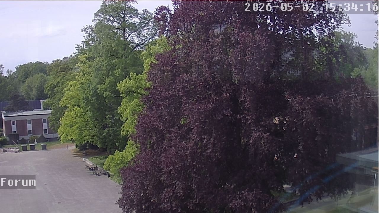 Webcam Forum 15:34