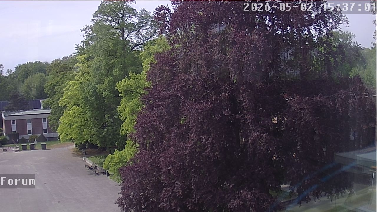 Webcam Forum 15:37