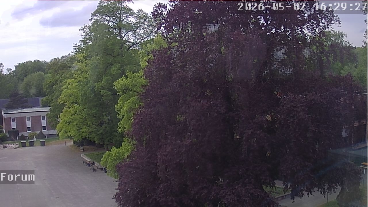 Webcam Forum 16:29