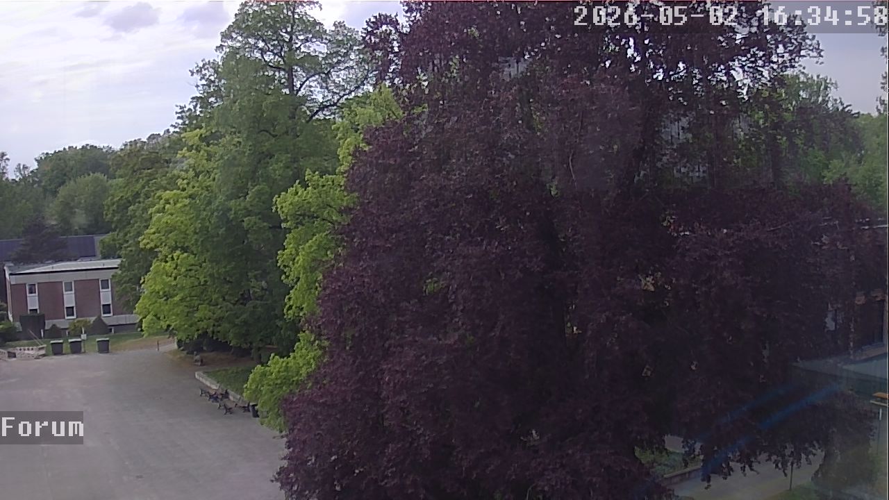 Webcam Forum 16:35