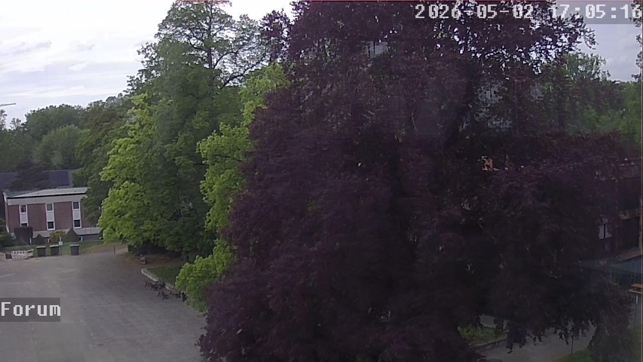 Webcam Forum 17:05