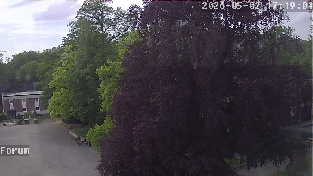 Webcam Forum 17:19