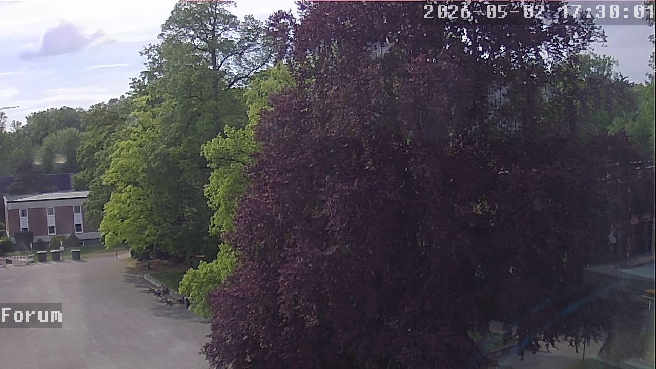 Webcam Forum 17:30