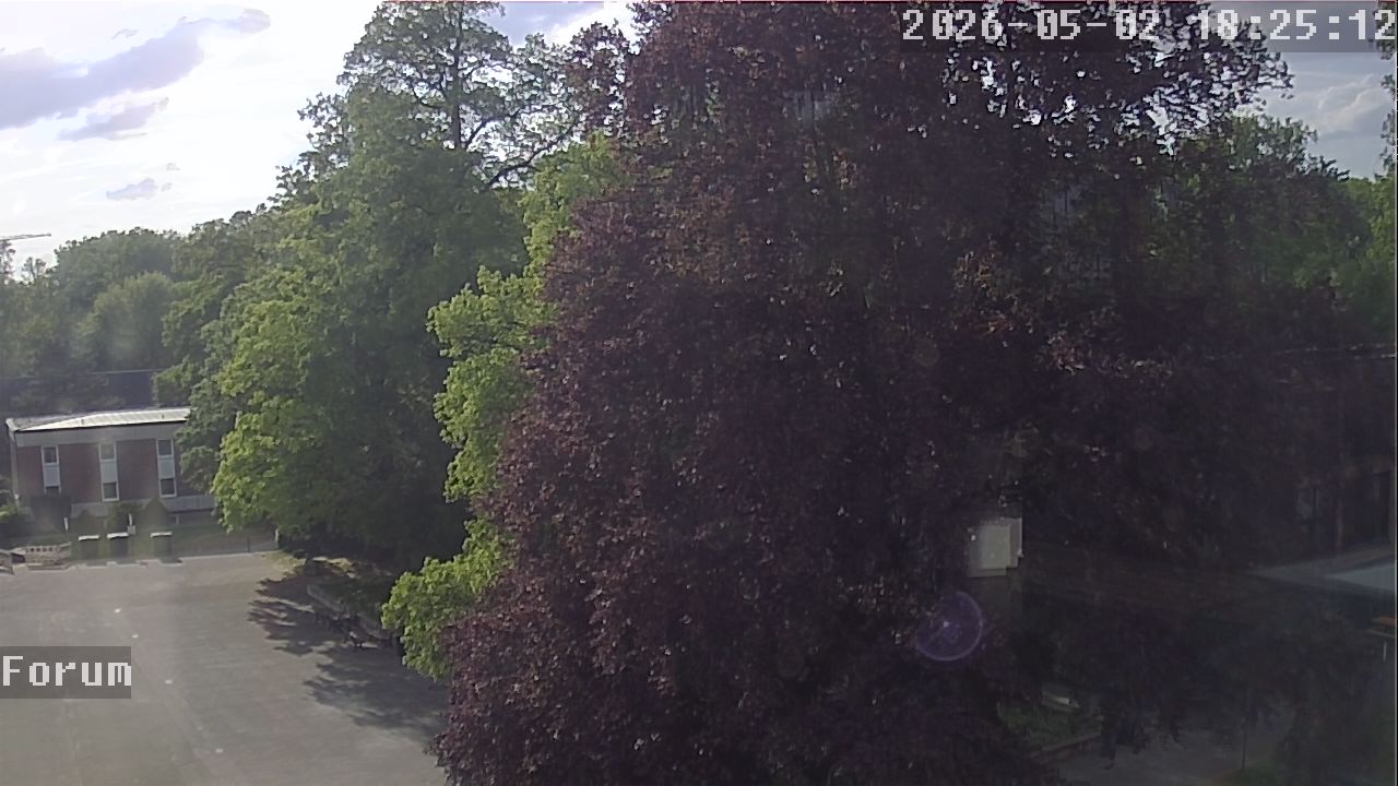 Webcam Forum 18:25