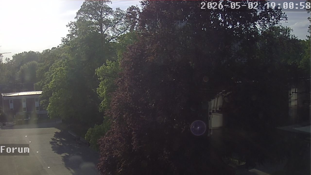 Webcam Forum 19:01