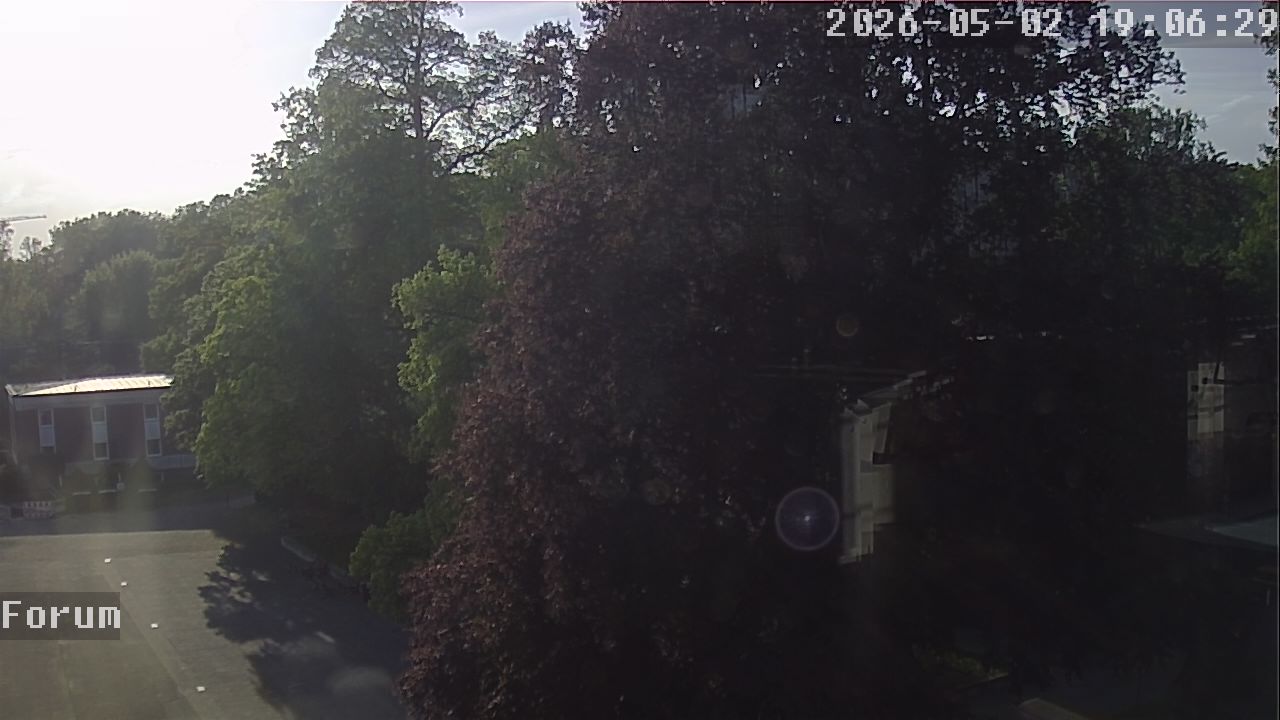 Webcam Forum 19:06