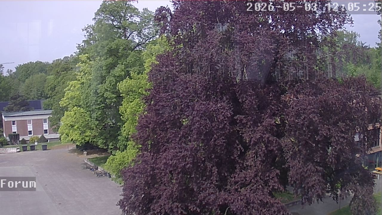 Webcam Forum 12:05