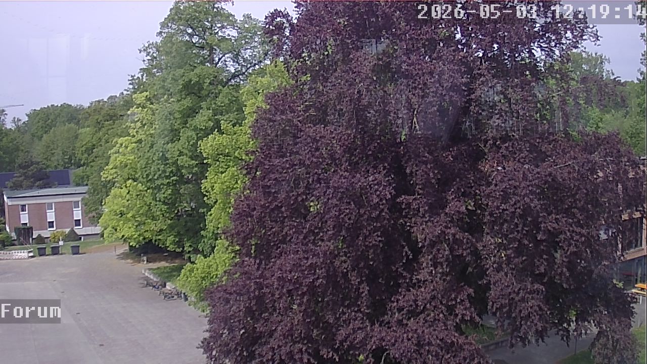 Webcam Forum 12:19