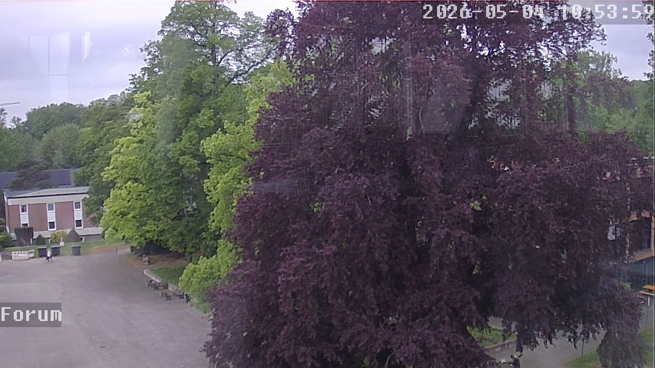 Webcam Forum 10:54