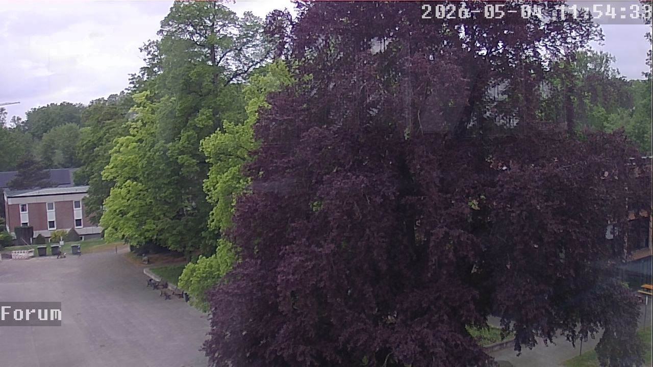Webcam Forum 11:54