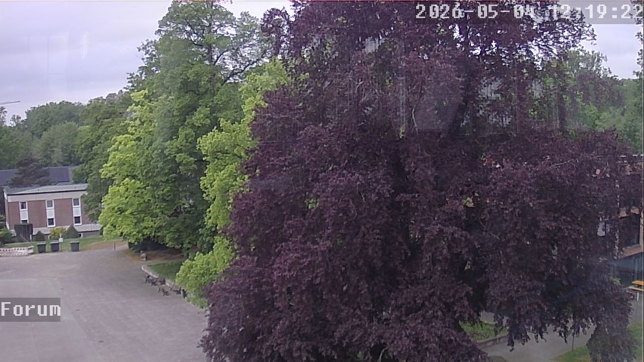 Webcam Forum 12:19