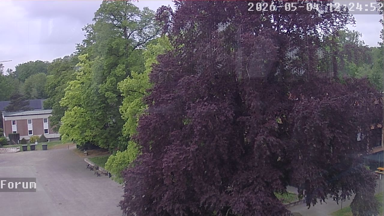 Webcam Forum 12:24