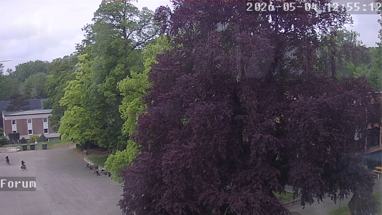 Webcam Forum 12:55