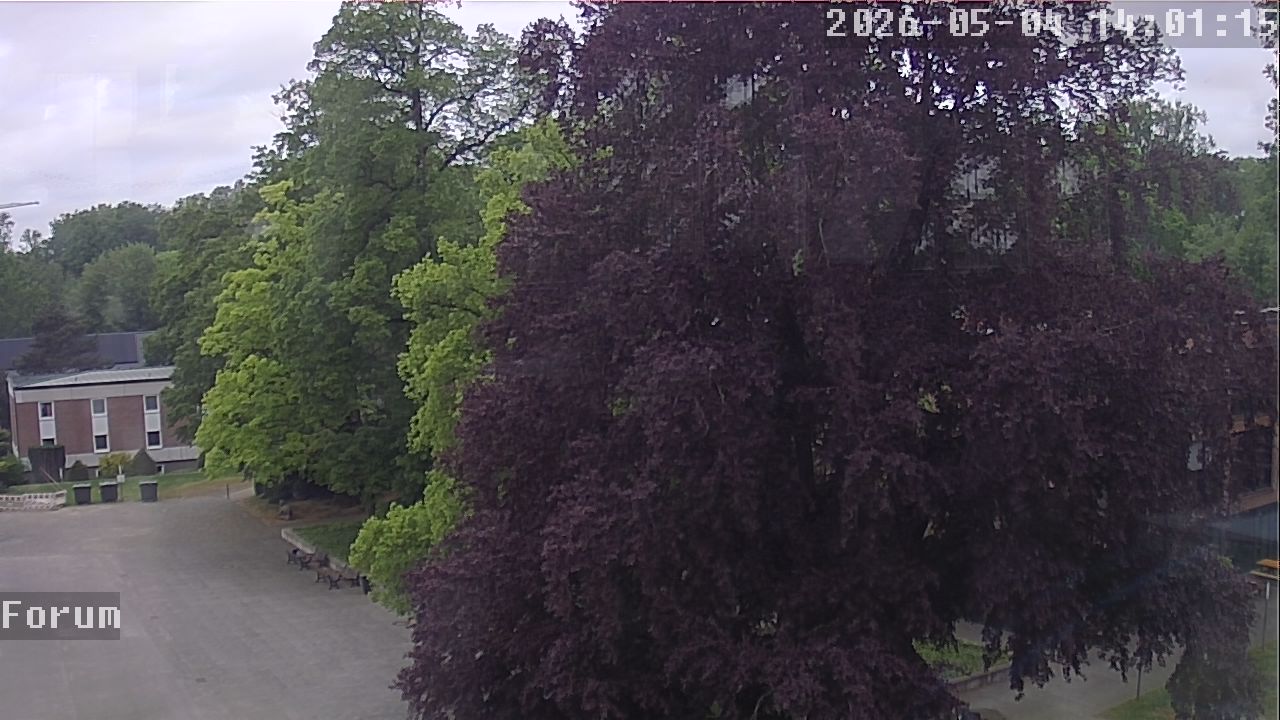 Webcam Forum 14:01
