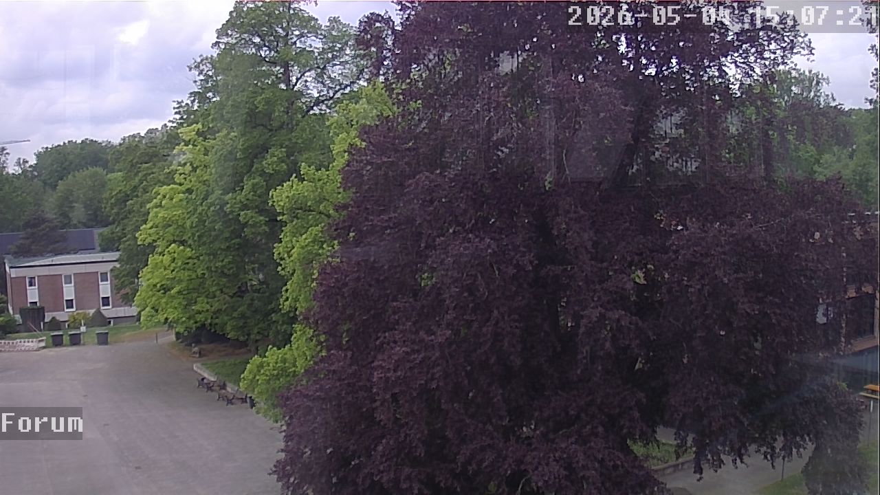 Webcam Forum 15:07