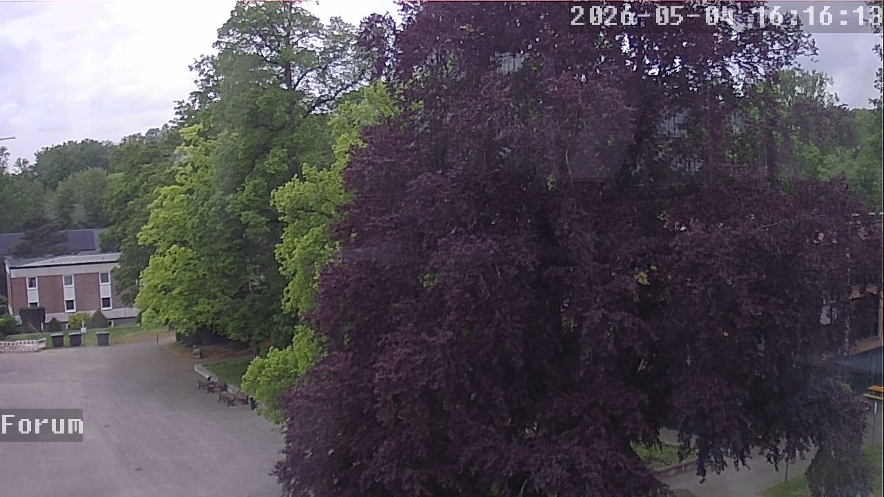 Webcam Forum 16:16