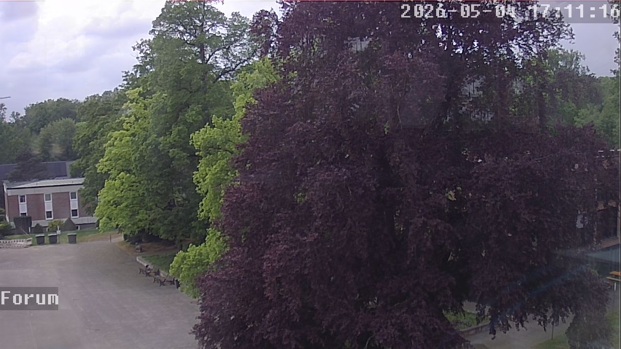 Webcam Forum 17:11
