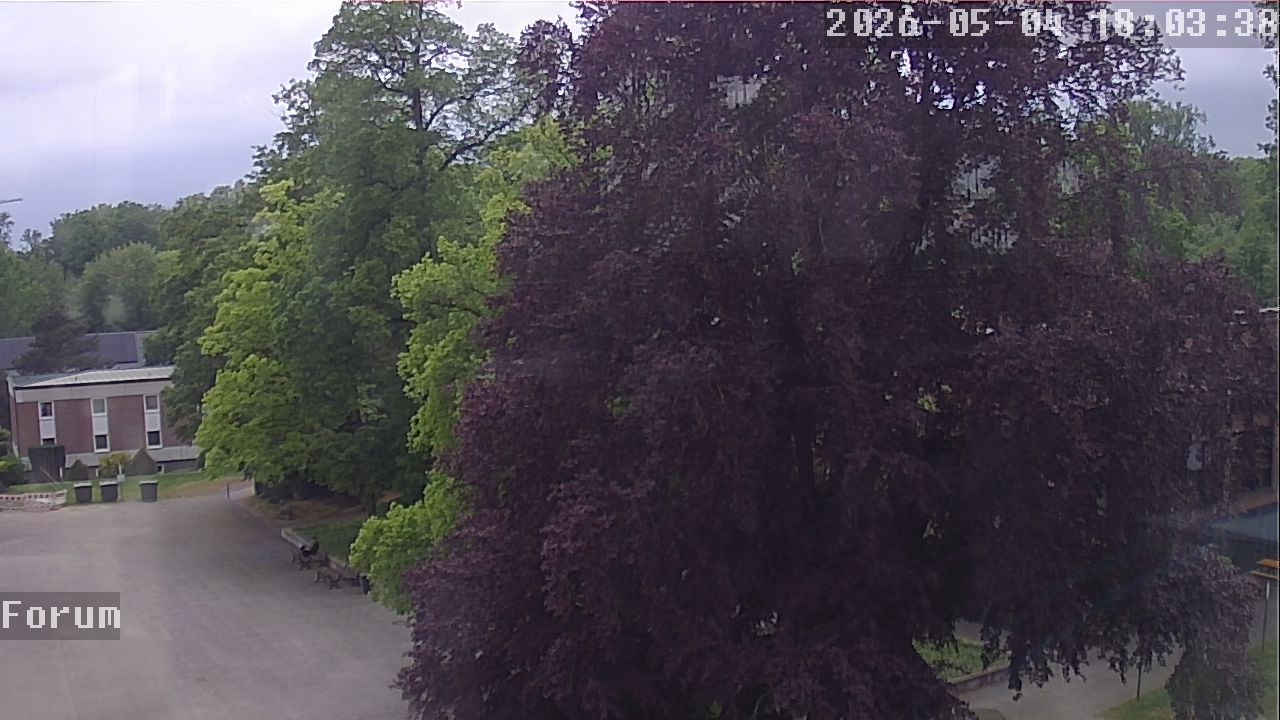 Webcam Forum 18:03