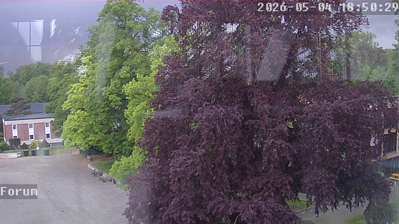 Webcam Forum 18:50