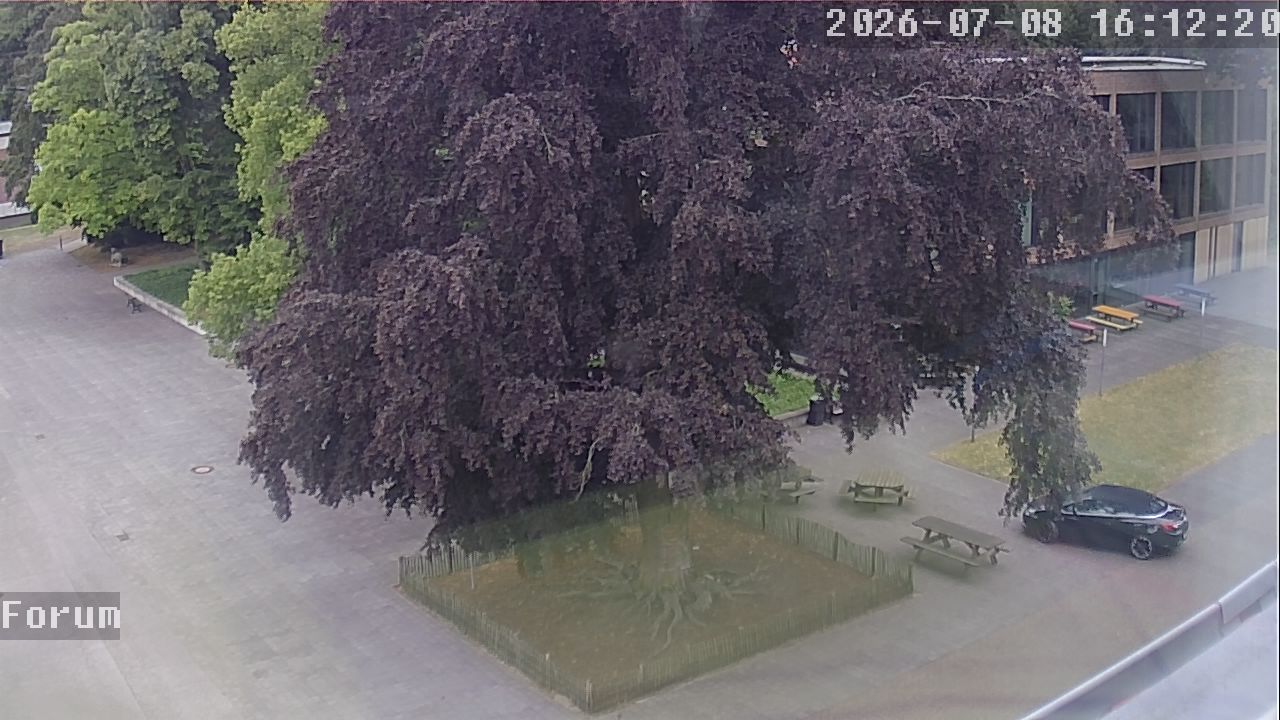 Webcam Forum 16:12