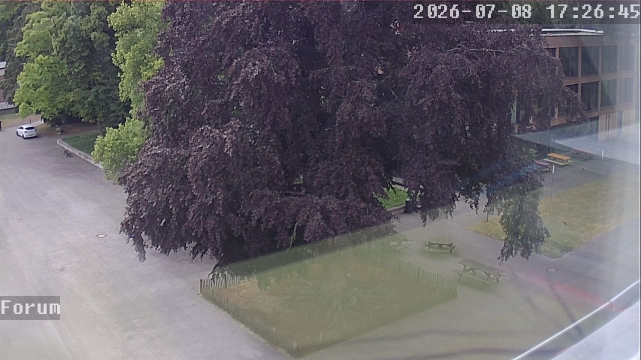 Webcam Forum 17:26