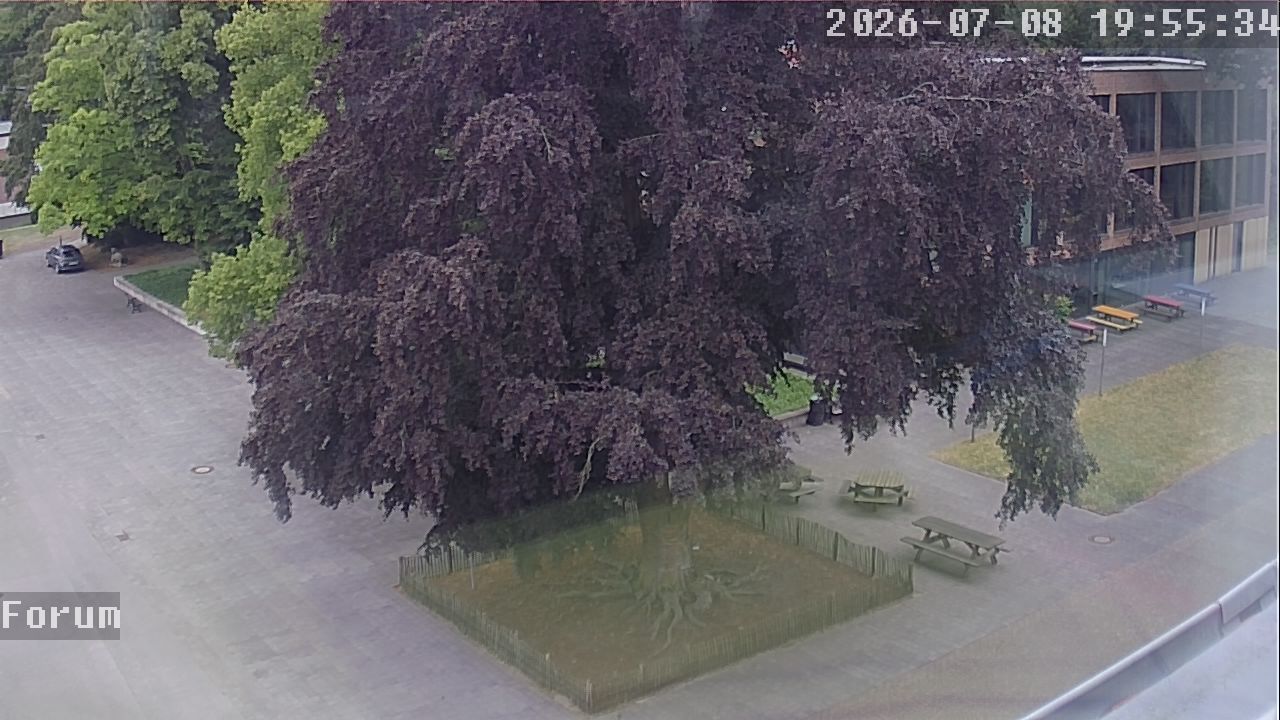 Webcam Forum 19:55