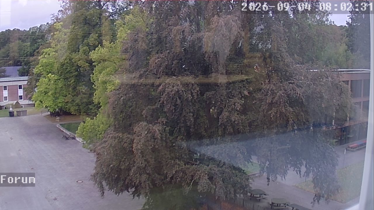 Webcam Forum 08:02